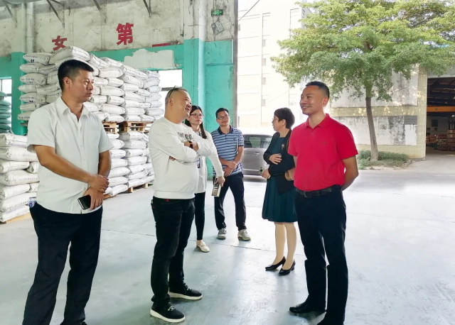广东香蕉视频网站入口
